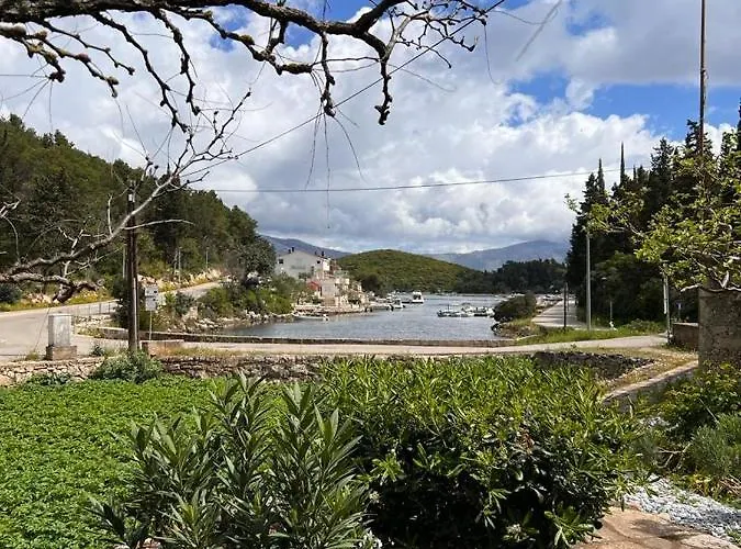 Bay *